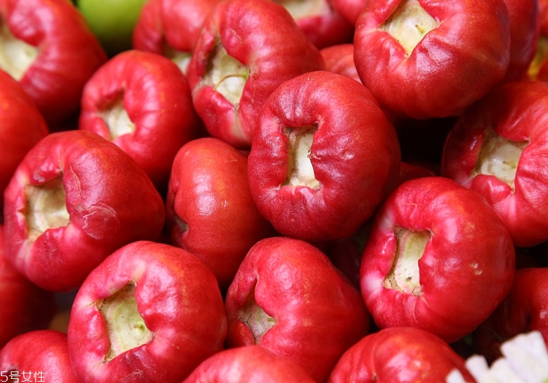 蓮霧怎么挑選 首選飽滿(mǎn)又紅潤(rùn)的蓮霧 蓮霧怎么挑選 首選飽滿(mǎn)又紅潤(rùn)的蓮霧