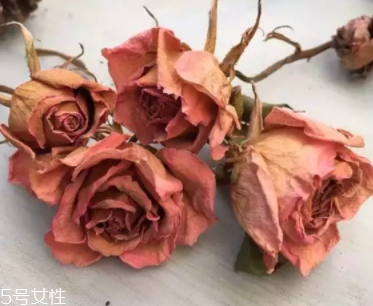 口紅色號最火排名 口紅色號哪個(gè)好看