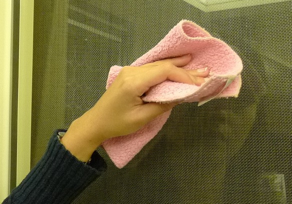 洋蔥擦擋風(fēng)玻璃方法 你絕對(duì)沒想過