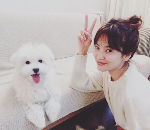 女生中長發(fā)丸子頭扎法圖解 2分鐘扎法 女生中長發(fā)丸子頭扎法圖解 2分鐘扎法