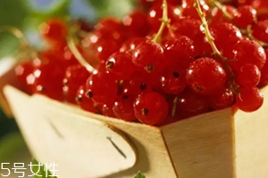 醋栗什么味道好吃嗎？酸甜可口惹人愛(ài)