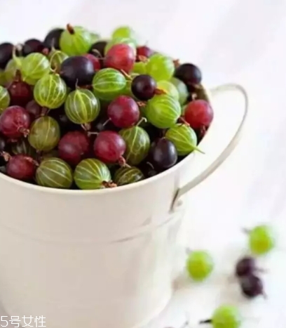 醋栗什么味道好吃嗎？酸甜可口惹人愛