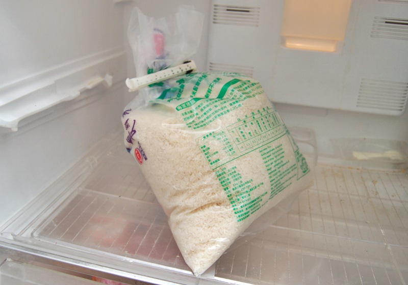 怎么預(yù)防米蟲(chóng) 必學(xué)的防米蟲(chóng)4招 怎么預(yù)防米蟲(chóng) 必學(xué)的防米蟲(chóng)4招