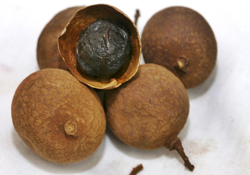 桂圓怎么保存 這樣存放時(shí)間長(zhǎng) 桂圓怎么保存 這樣存放時(shí)間長(zhǎng)