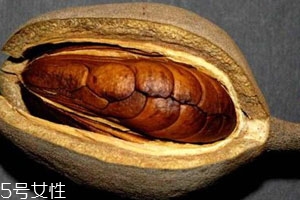 向天果的用量 根據(jù)自身情況選擇服用量。