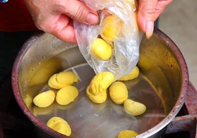 栗子是怎么長(zhǎng)出來(lái)的 開花結(jié)果取果仁 栗子是怎么長(zhǎng)出來(lái)的 開花結(jié)果取果仁