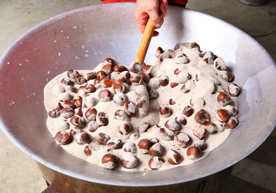 栗子是怎么長(zhǎng)出來(lái)的 開花結(jié)果取果仁 栗子是怎么長(zhǎng)出來(lái)的 開花結(jié)果取果仁