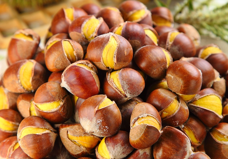 栗子是怎么長(zhǎng)出來(lái)的 開花結(jié)果取果仁 栗子是怎么長(zhǎng)出來(lái)的 開花結(jié)果取果仁