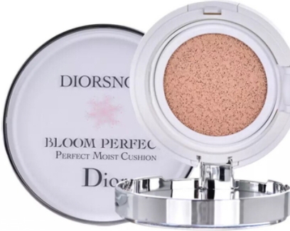 雅詩蘭黛和dior迪奧氣墊哪個好？