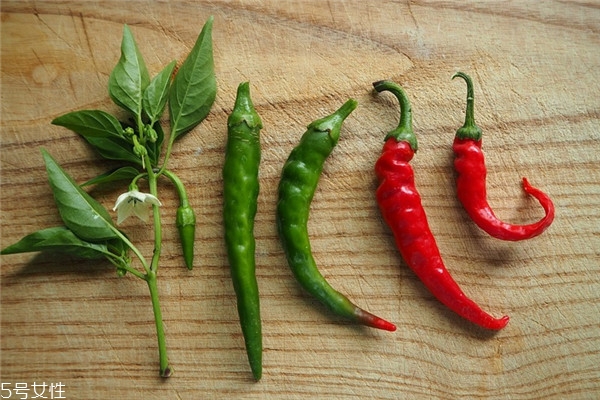 辣椒怎么保存時(shí)間長(zhǎng) 青紅辣椒各不同 辣椒怎么保存時(shí)間長(zhǎng) 青紅辣椒各不同