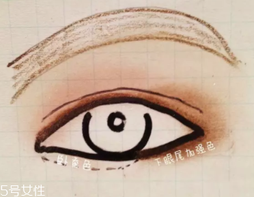大地色眼影怎么配色？用好大地色百搭又時尚
