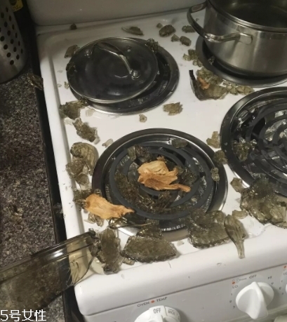 康寧鍋會(huì)爆炸嗎？請(qǐng)小心使用