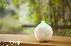 香薰什么味道好聞？佛系女孩推薦草木香