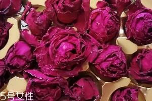 墨紅玫瑰可以天天喝嗎？玫瑰養(yǎng)顏也要適量