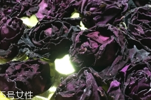 墨紅玫瑰和金邊玫瑰哪個好？墨紅玫瑰更勝一籌