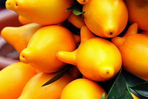 黃金果怎么吃？黃金果能吃嗎？