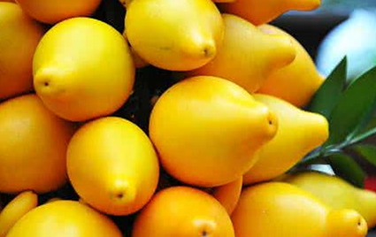 黃金果怎么吃？黃金果能吃嗎？