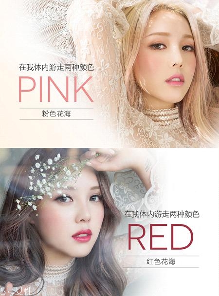pony化妝品怎么樣？韓國彩妝大神級