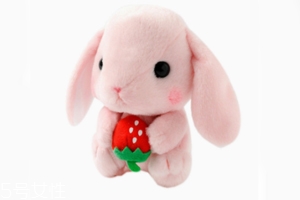 AMUSE玩偶是哪個(gè)國家的牌子？東京御宅族文化商品