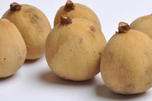 杜古和龍宮果的區(qū)別 杜古的功效 杜古和龍宮果的區(qū)別 杜古的功效