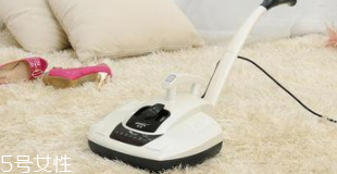 除螨儀有用嗎？洗衣粉能去除螨蟲