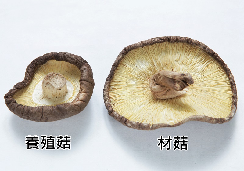 干香茹怎么挑選 4招挑出好品質(zhì) 干香茹怎么挑選 4招挑出好品質(zhì)