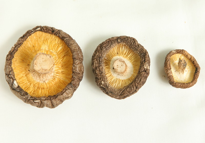 干香茹怎么挑選 4招挑出好品質(zhì) 干香茹怎么挑選 4招挑出好品質(zhì)