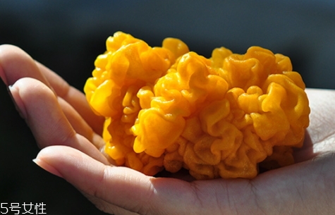 孕婦可以吃金耳嗎？哪些人不適合吃金耳