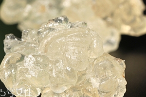 雪燕怎么清洗？雪燕怎么挑雜質(zhì)