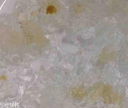雪燕和桃膠能一起燉嗎？
