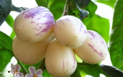 香瓜茄孕婦可以吃嗎？香瓜茄功效多