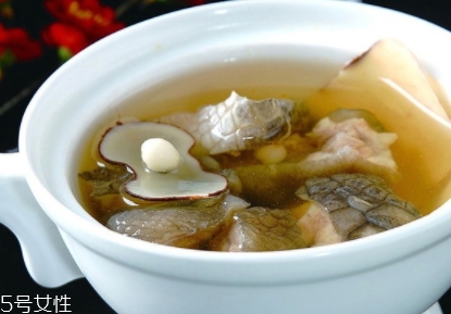 海底椰怎么吃？海底椰的做法