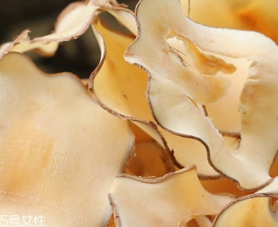 海底椰怎么吃？海底椰的做法