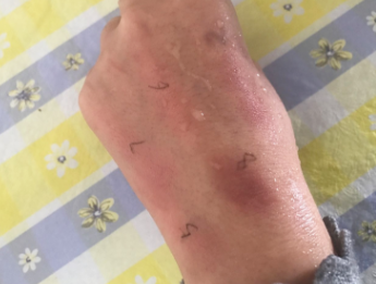 愛麗小屋十色眼影盤哪個(gè)好看？酒紅色非常好看