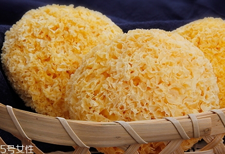 丑耳多少錢一斤？比銀耳更加珍貴