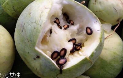 打瓜可以直接吃嗎？打瓜的功效作用