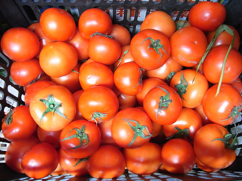 西紅柿怎么選 表皮光滑果臍完整 西紅柿怎么選 表皮光滑果臍完整