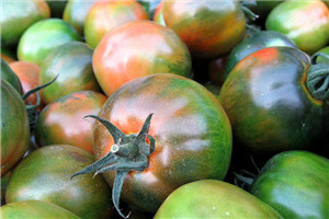 西紅柿怎么選 表皮光滑果臍完整 西紅柿怎么選 表皮光滑果臍完整