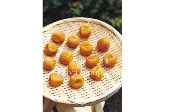 梅干子的制作方法 diy腌梅子步驟 梅干子的制作方法 diy腌梅子步驟