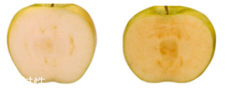 lacabine安瓶什么功效？深度測評(píng)抗氧化效果