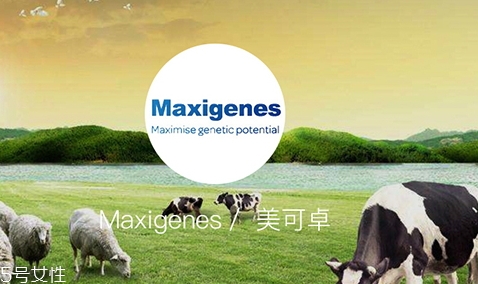 藍胖子奶粉和德運奶粉哪個好？