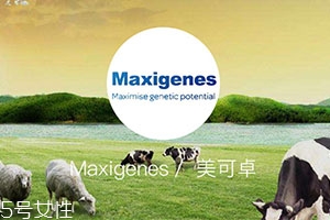 藍(lán)胖子奶粉適合什么人？成人可以喝嗎？