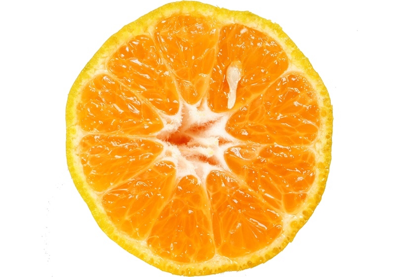 橘子有幾種種類 橙子的種類有哪些 橘子有幾種種類 橙子的種類有哪些