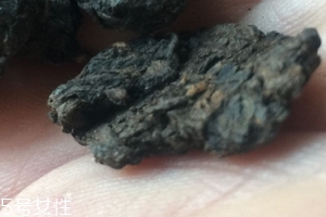 老茶頭怎么泡？泡錯了就不好喝了