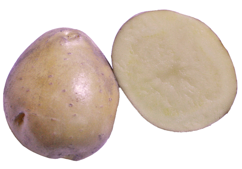 馬鈴薯怎么保存不發(fā)芽 不見光最宜 馬鈴薯怎么保存不發(fā)芽 不見光最宜