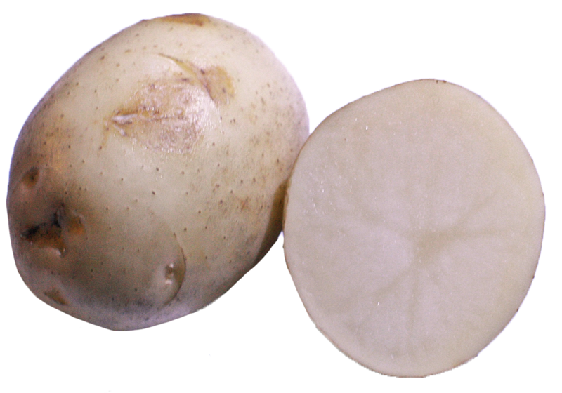 馬鈴薯怎么保存不發(fā)芽 不見光最宜 馬鈴薯怎么保存不發(fā)芽 不見光最宜