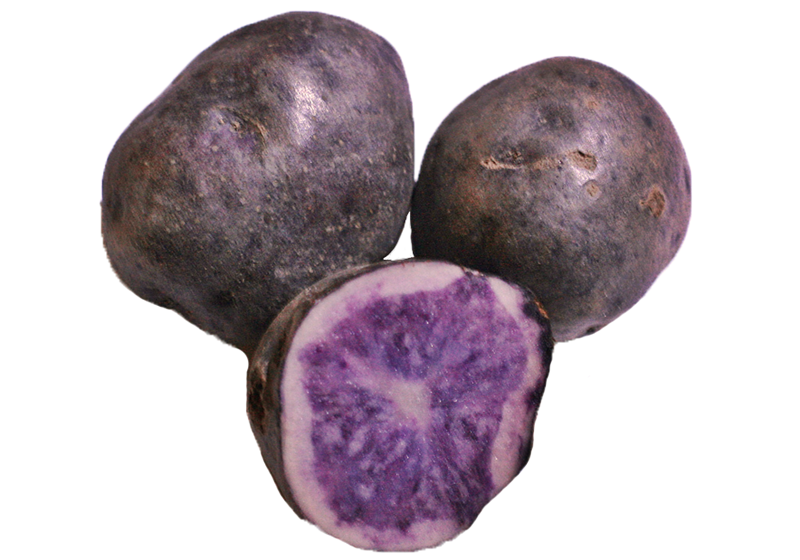 馬鈴薯怎么保存不發(fā)芽 不見光最宜 馬鈴薯怎么保存不發(fā)芽 不見光最宜