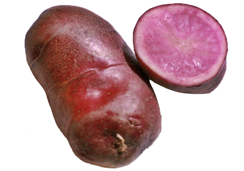 馬鈴薯怎么保存不發(fā)芽 不見光最宜 馬鈴薯怎么保存不發(fā)芽 不見光最宜