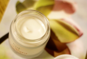 fresh睡蓮面霜孕婦可以用嗎？孕婦可用