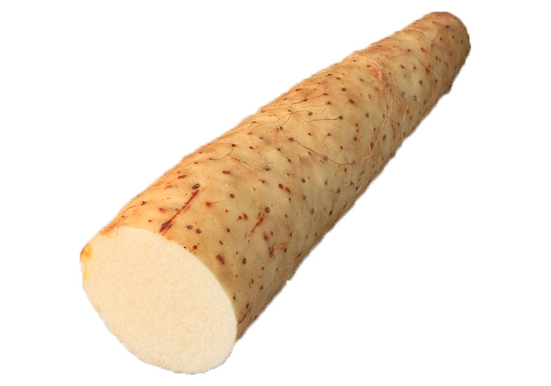 山藥怎么去皮不會手癢 山藥挑選靠4招 山藥怎么去皮不會手癢 山藥挑選靠4招